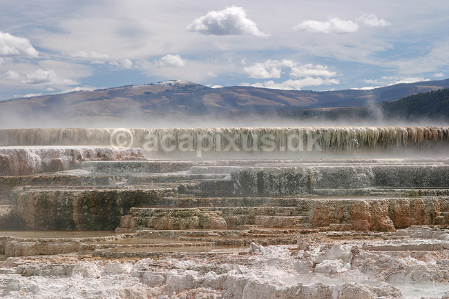 Mammoth Hot Springs. Terasser af vandfald med varmt vand ved Mammoth Hot Springs i Yellowstone NP.; ; Yellowstone National Park / Wyoming; USA; Nord Amerika; ; Geothermisk, geotermisk varme