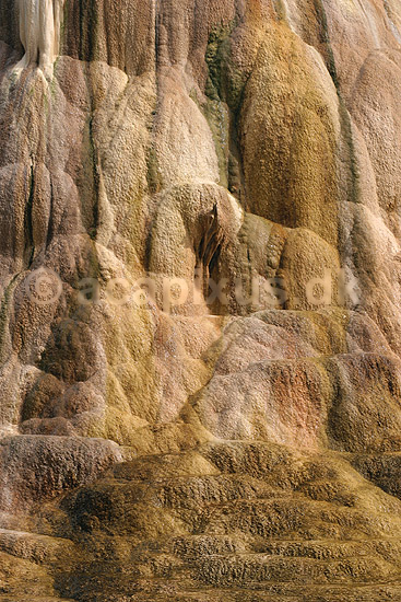 Mammoth Hot Springs. Mammoth Hot Springs i Yellowstone NP.; ; Yellowstone National Park / Wyoming; USA; Nord Amerika; ; Geothermisk, geotermisk varme