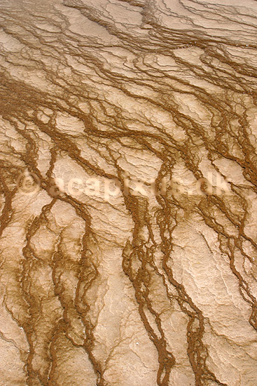 Geyser. Kalkstensaflejringer fra varmt fra Grand Prismatic Spring ved Midway Geyser Basin i Yellowstone NP har dannet kunstneriske m�nstre.; ; Yellowstone National Park / Wyoming; USA; Nord Amerika; ; Geothermisk, geotermisk varme, geysere