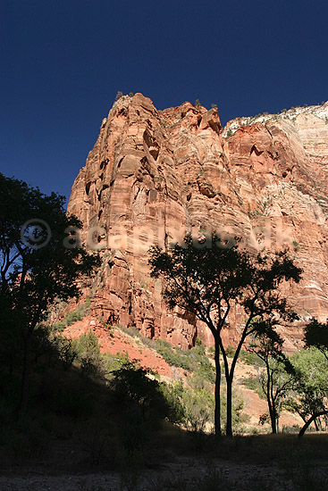 Zion National Park. Zion Canyon i Zion National Park; ; Zion National Park / Wyoming; USA; Nord Amerika; ; Bjerge, nationalparker, floder, sandsten